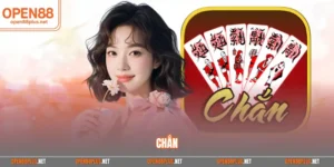 Chắn
